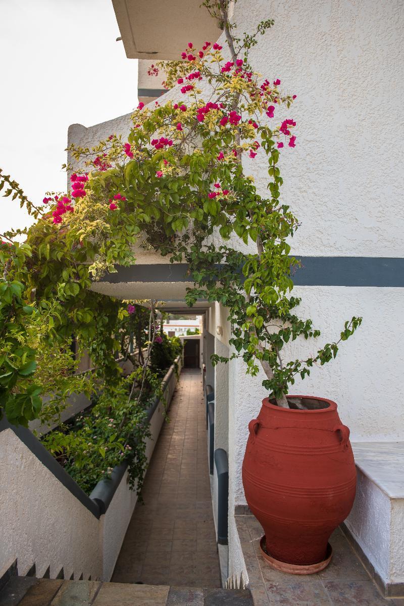 Fevro Hotel Agia Galini  Bagian luar foto