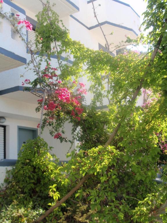 Fevro Hotel Agia Galini  Ruang foto