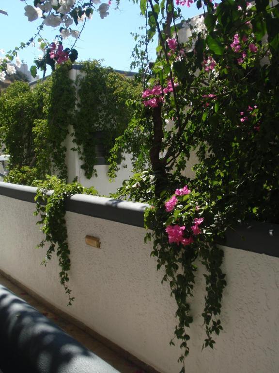 Fevro Hotel Agia Galini  Ruang foto