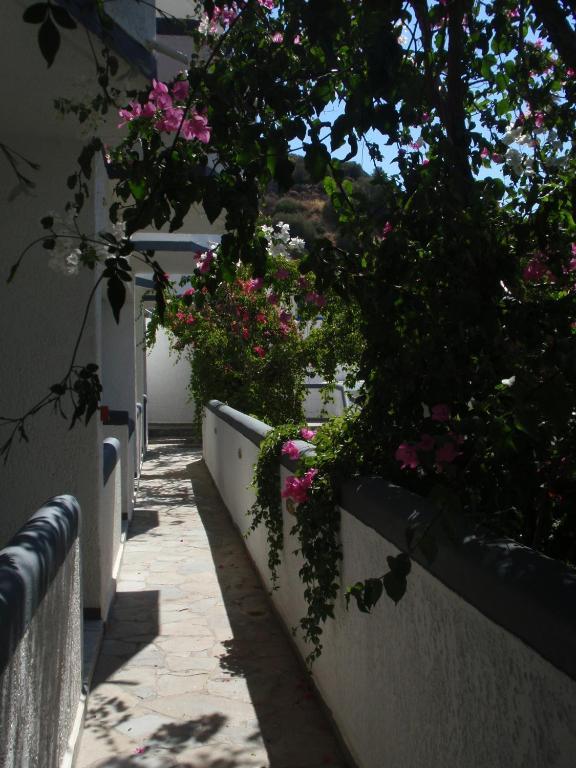 Fevro Hotel Agia Galini  Ruang foto
