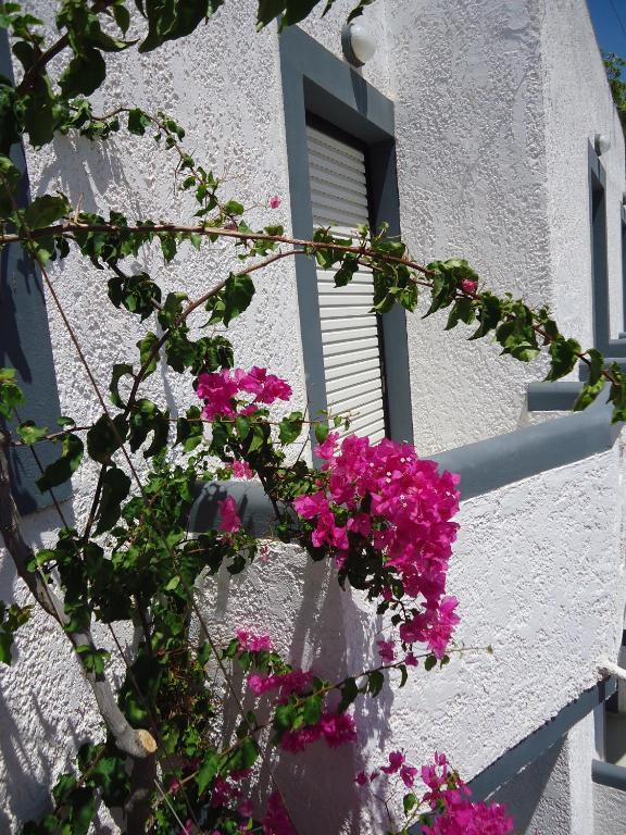 Fevro Hotel Agia Galini  Bagian luar foto